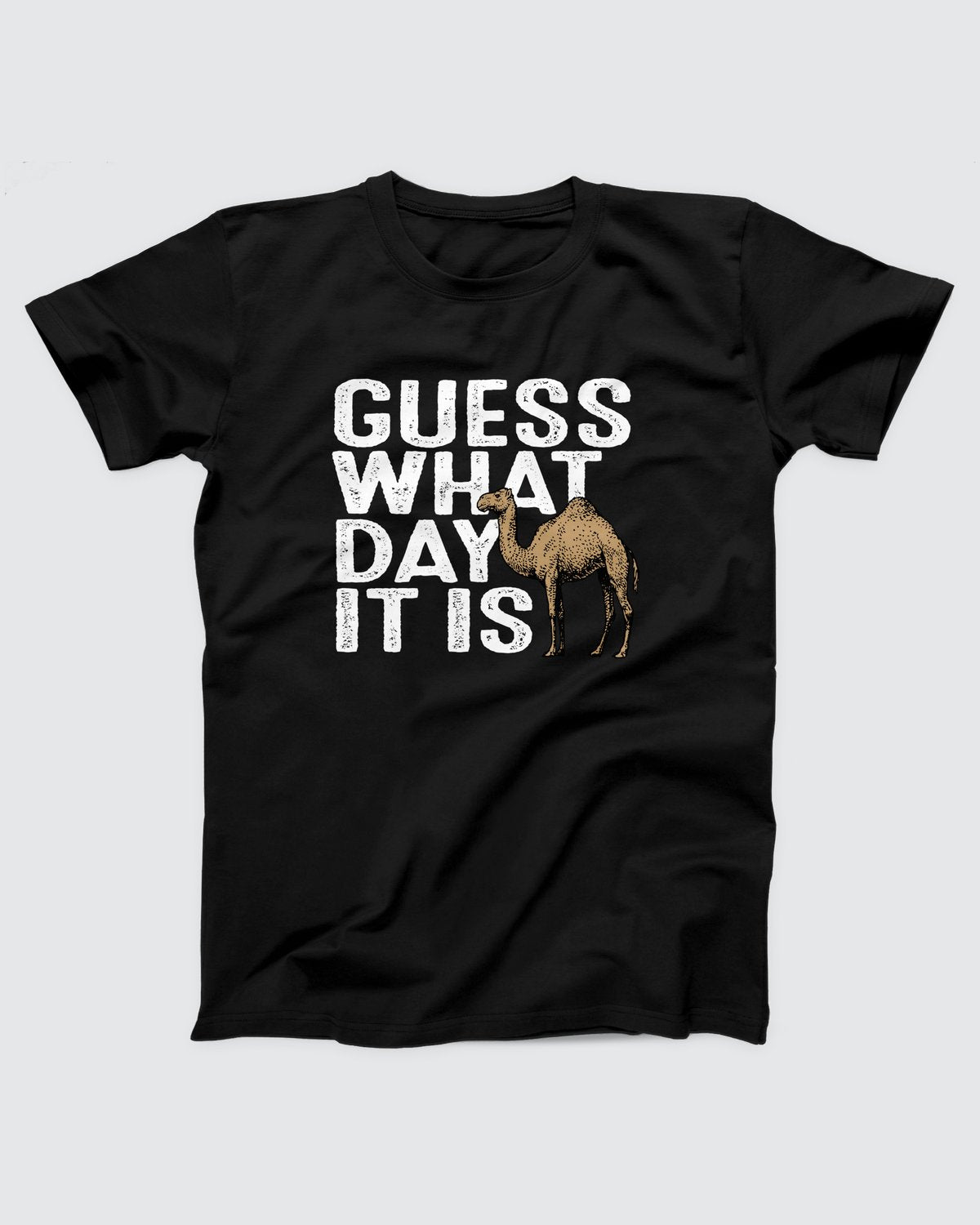 Guess What Day It Is T-Shirt